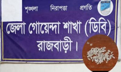রাজবাড়ীতে ডিবি পুলিশের অভিযানে হেরোইনসহ মাদক কারবারি গ্রেপ্তার