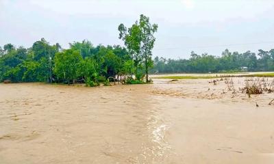বাঁধ ভেঙে ২০ গ্রাম প্লাবিত, দুশ্চিন্তায় কৃষকেরা