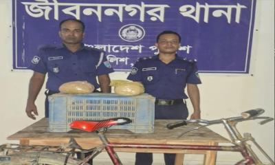 জীবননগরে পুলিশের অভিযানে ২ কেজি গাঁজা উদ্ধার