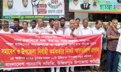 উজিরপুরে পান চাষিদের ১১ দফা দাবিতে মানববন্ধন ও স্মারকলিপি প্রদান