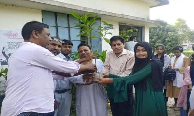 সবুজ স্বপ্নে দুর্বার — চিতলমারীতে ছাত্রীদের মাঝে ২০০ ফল–ফুলের চারা বিতরণ
