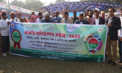 পত্নীতলায় প্রাণিসম্পদ প্রদর্শনী মেলা-২০২৫ উদযাপন