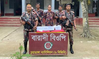 চুয়াডাঙ্গা সীমান্তে বিদেশি পিস্তল, গুলি ও গাঁজা উদ্ধার