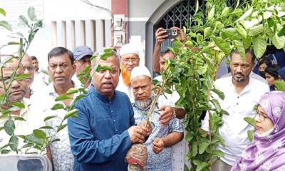 বাউফলে বিএনপির উদ্যোগে শিক্ষার্থীদের মাঝে গাছের চারা বিতরণ