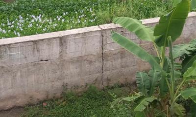 লালপুরে বরেন্দ্র প্রকল্পে অনিয়ম