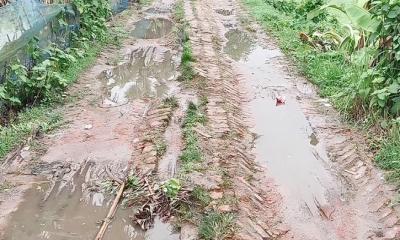 ডাসারে ৫টি ইউনিয়নের গ্রামীণ সড়কের বেহাল দশা, চরম জনদুর্ভোগ