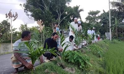কিশোরগঞ্জে পরিবেশের ভারসাম্য রক্ষায় যুবকদের বৃক্ষরোপণ কর্মসূচি