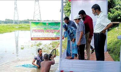 কালীগঞ্জে মৎস্য দপ্তরের উদ্যোগে পোনা মাছ অবমুক্তকরণ