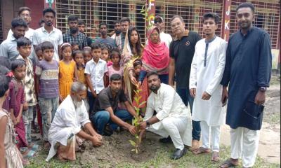 মান্দায় বিএনপির প্রতিষ্ঠাবার্ষিকীতে ৪ হাজার ৭০০ গাছের চারা বিতরণ