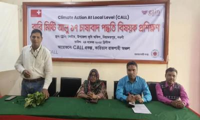 নিয়ামতপুরে বারি মিষ্টি আলু ১৭ চাষাবাদ পদ্ধতি বিষয়ক প্রশিক্ষণ