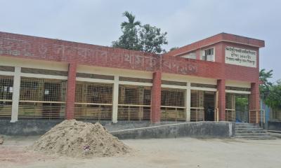 পার্বতীপুরে স্কুলের গাছ কেটে শিক্ষকের বিরুদ্ধে অপপ্রচারের অভিযোগ