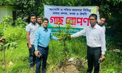 উজিরপুরে বিভিন্ন শিক্ষাপ্রতিষ্ঠানে গাছের চারারোপণ করেন উপজেলা নির্বাহী কর্মকর্তা
