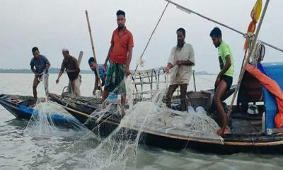 মা ইলিশ রক্ষায় পদ্মা-মেঘনায় ৪ অক্টোবর থেকে ২২ দিন ইলিশ ধরা নিষিদ্ধ