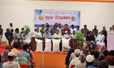 রায়গঞ্জে ৩ হাজার কৃষকের মাঝে আমন ধানের বীজ ও সার বিতরণ