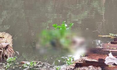 ফরিদপুরে অজ্ঞাত যুবকের অর্ধগলিত লাশ উদ্ধার