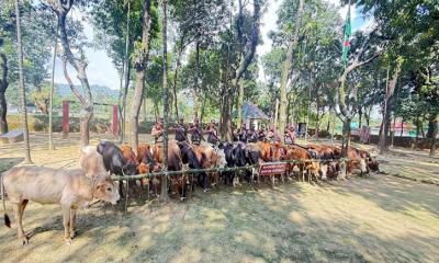 মধ্যনগরে বিজিবি-চোরাইকারবারি সংঘর্ষে নিহত, হাওর থেকে লাশ উদ্ধার