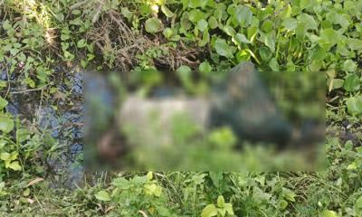 পত্নীতলায় অজ্ঞাত ব্যক্তির মরদেহ উদ্ধার