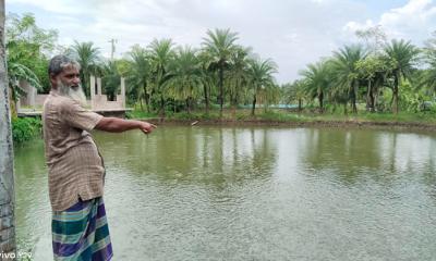 কোটচাঁদপুরের পুকুরে এখন খোরশোল্লা আর ভেটকির চাষ শুরু