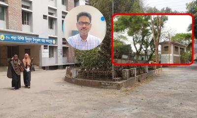 তিতাস স্বাস্থ্য কমপ্লেক্সের ঝুঁকিপূর্ণ গাছ অপসারণ শুরু
