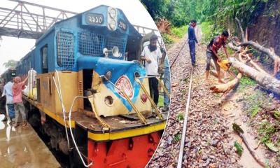 লাউয়াছড়ায় গাছের সঙ্গে ট্রেনের ধাক্কা; রক্ষা পেল কালনী এক্সপ্রেস