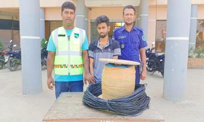 সরাইলে ৬ কেজি গাঁজাসহ এক মাদক কারবারি গ্রেপ্তার