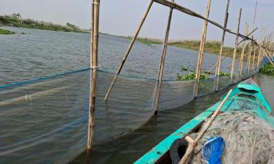 চরভদ্রাসনে পদ্মা নদীতে ৫০০ মিটার আড়াআড়ি বাঁধ অপসারণ