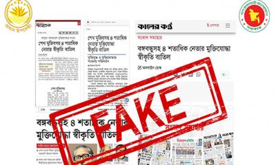মুজিবনগর সরকারের নেতাদের মুক্তিযোদ্ধা স্বীকৃতি বাতিল হয়নি: প্রেস উইং