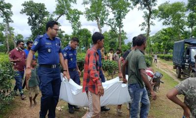 শ্রীমঙ্গলে গাছের সঙ্গে বাঁধা অবস্থায় তরুণের লাশ উদ্ধার