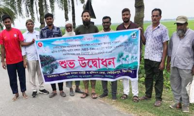 কোটচাঁদপুরে দূর্যোগ প্রশমনের জন্য সড়কে তাল বীজ রোপণ