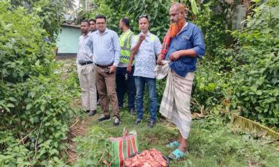 কোটচাঁদপুরে গর্ভবতী গরু জবাই করে মাংস বিক্রি, জরিমানা