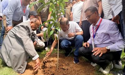 দেশব্যাপী ২৫ কোটি বৃক্ষরোপণ কর্মসূচির উদ্বোধন করলেন প্রধানমন্ত্রী