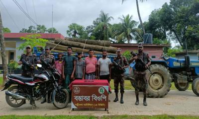 নওগাঁ সীমান্তে বিজিবির অভিযানে সরকারি গাছসহ আটক ৫