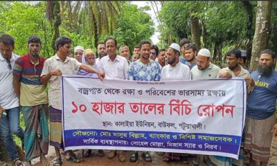 বাউফলে ব্যাক্তি উদ্যোগে ১০ হাজার তালের বীজ রোপণ