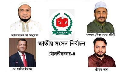 আওয়ামী লীগের ঘাঁটিতে বিরোধীদের ঝড়
