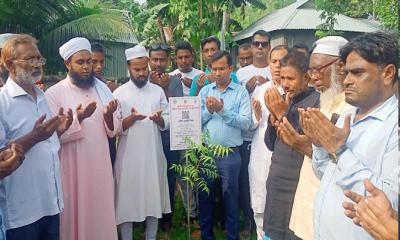 সরিষাবাড়ীতে জুলাই শহীদদের স্মরণে বৃক্ষরোপণ