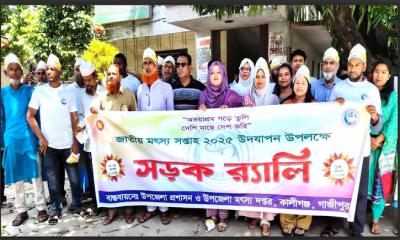 জাতীয় মৎস্য সপ্তাহ উপলক্ষে কালীগঞ্জে প্রশাসনের র‌্যালি ও আলোচনা সভা