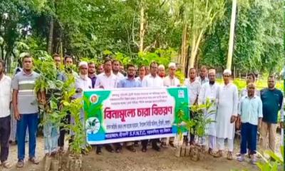 জলবায়ু পরিবর্তনের প্রভাব মোকাবেলায় শেরপুরে বিনামূল্যে ১৬ হাজার গাছের চারা বিতরণ