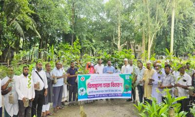 জলবায়ু পরিবর্তনের প্রভাব মোকাবেলায় শেরপুরে বিনামূল্যে ১৬ হাজার গাছের চারা বিতরণ
