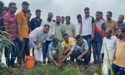 ধামরাইয়ে স্বেচ্ছাসেবক দলের মাসব্যাপী বৃক্ষরোপণ কর্মসূচির উদ্বোধন