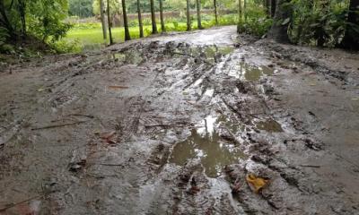 উজিরপুর পৌরসভার গুরুত্বপূর্ণ সড়কের বেহাল দশা, দ্রুত সংস্কারের দাবি