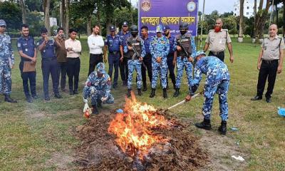 চাঁদপুরে জব্দকৃত ১৮ লাখ টাকার গাঁজা পুড়িয়ে ধ্বংস