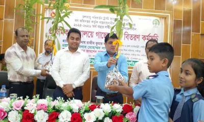 লক্ষ্মীপুরে জলবায়ু পরিবর্তন ট্রাস্ট ফান্ডের অর্থায়নে বিদ্যালয়ের শিক্ষার্থীদের মাঝে গাছের চারা বিতরণ