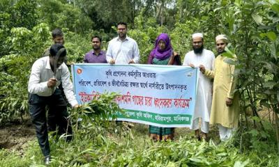 হরিরামপুরে পরিবেশ বিধ্বংসী ইউক্যালিপটাস গাছের চারা ধ্বংস করলেন ইউএনও