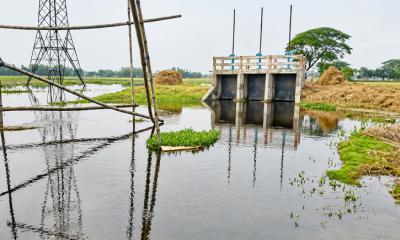পৌনে এক কোটি টাকার ব্লুইসগেটেই জলাবদ্ধতা, তলিয়ে গেল শত হেক্টর ধান