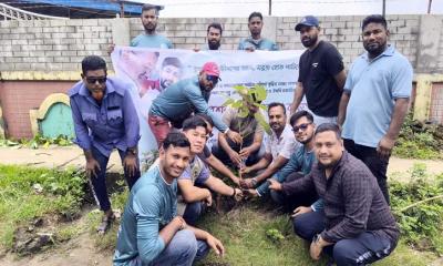 পর্যটন এলাকার সৌন্দর্য ও জীববৈচিত্র্য রক্ষায় কমলগঞ্জে ৪০টি পলাশের চারা রোপণ