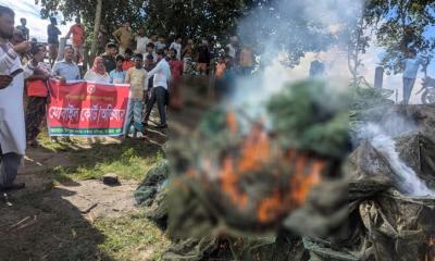 বড়াইগ্রামে ৬ লাখ টাকার চায়না জাল ধ্বংস