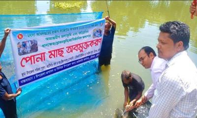 লৌহজংয়ে বিভিন্ন জলাশয়ে ৩৭০ কেজি মাছের পোনা অবমুক্ত