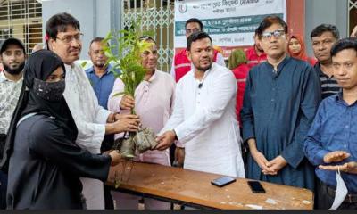 লক্ষ্মীপুরের রামগঞ্জে বন্যায় ক্ষতিগ্রস্থদের মাঝে ফলজ ও ঔষধি গাছের চারা বিতরণ