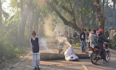 মাদারীপুরে রাস্তায় গাছ ফেলে অবরোধ, চার ঘণ্টা যান চলাচল বন্ধ