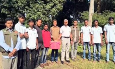 র‍্যাবের হাতে আটক ৩টি তক্ষক চুয়াডাঙ্গায় সামাজিক বনায়ন কেন্দ্রে অবমুক্ত